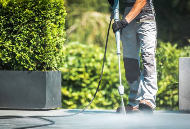 Best Graffiti Removal  in Tequesta, FL
